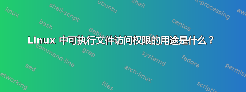 Linux 中可执行文件访问权限的用途是什么？