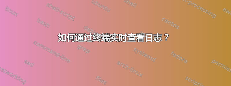 如何通过终端实时查看日志？