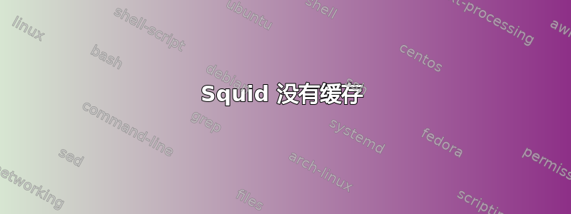 Squid 没有缓存