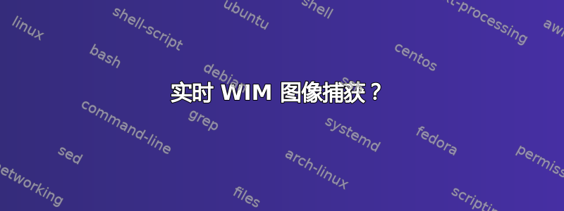 实时 WIM 图像捕获？