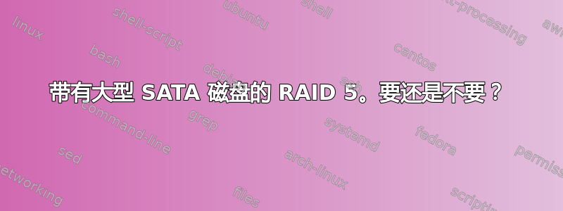 带有大型 SATA 磁盘的 RAID 5。要还是不要？