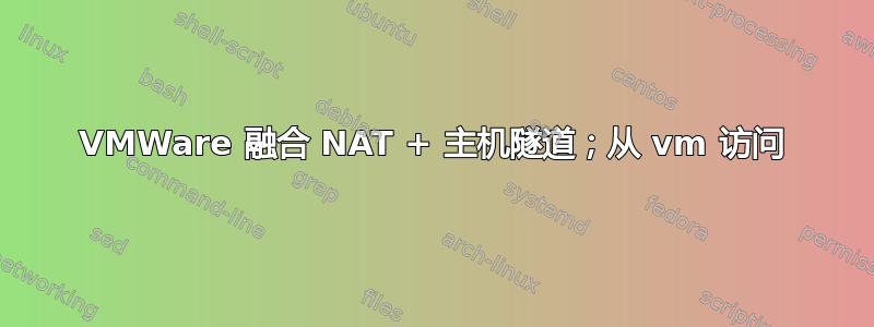 VMWare 融合 NAT + 主机隧道；从 vm 访问