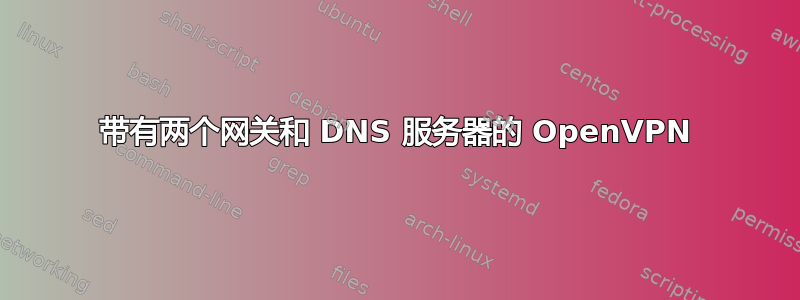 带有两个网关和 DNS 服务器的 OpenVPN