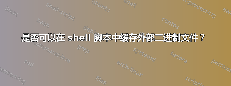 是否可以在 shell 脚本中缓存外部二进制文件？