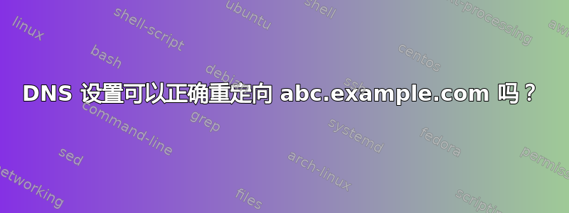 DNS 设置可以正确重定向 abc.example.com 吗？