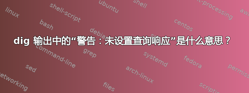 dig 输出中的“警告：未设置查询响应”是什么意思？