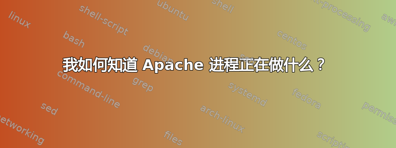 我如何知道 Apache 进程正在做什么？