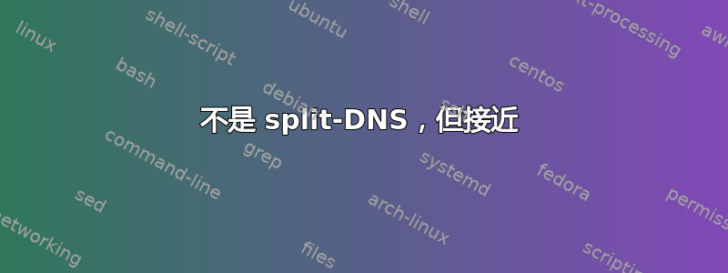 不是 split-DNS，但接近