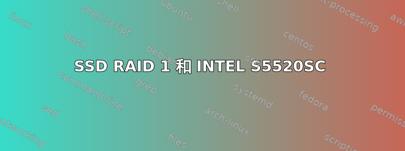 SSD RAID 1 和 INTEL S5520SC