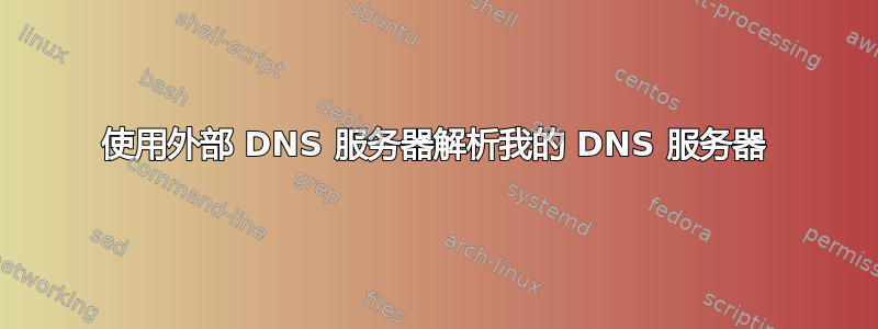 使用外部 DNS 服务器解析我的 DNS 服务器