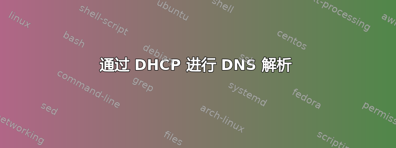 通过 DHCP 进行 DNS 解析