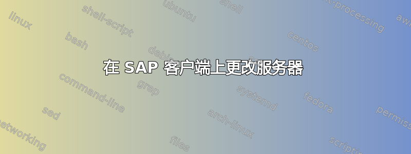 在 SAP 客户端上更改服务器