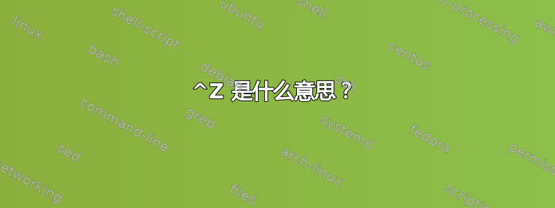 ^Z 是什么意思？