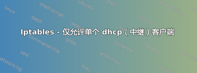 Iptables - 仅允许单个 dhcp（中继）客户端