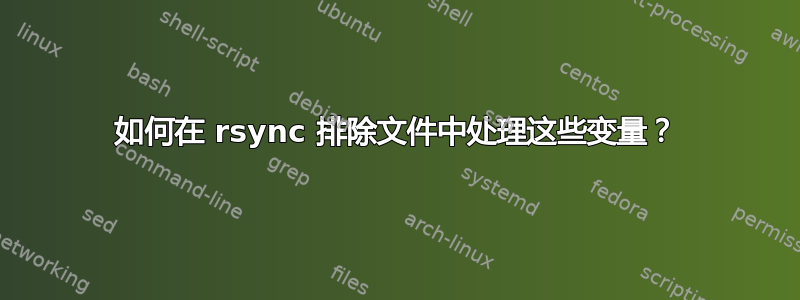 如何在 rsync 排除文件中处理这些变量？