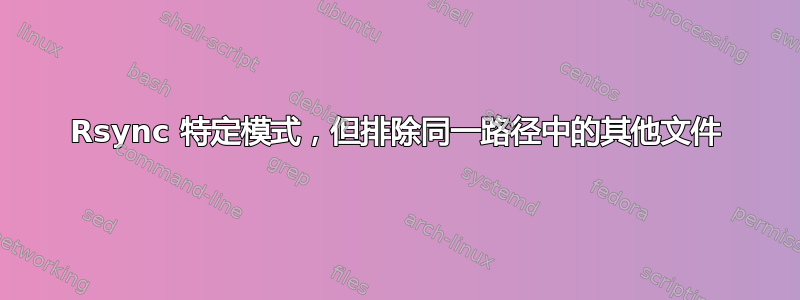 Rsync 特定模式，但排除同一路径中的其他文件