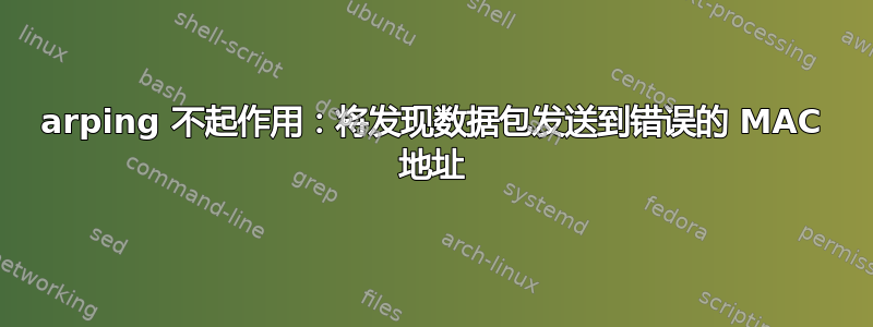 arping 不起作用：将发现数据包发送到错误的 MAC 地址