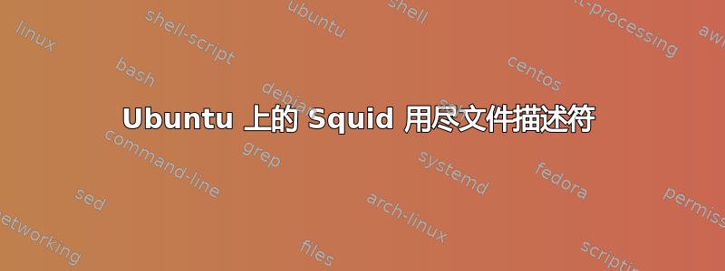 Ubuntu 上的 Squid 用尽文件描述符