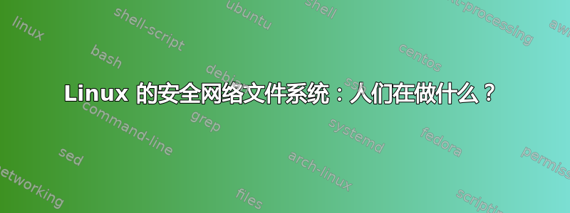 Linux 的安全网络文件系统：人们在做什么？