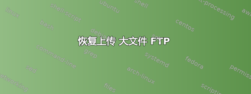 恢复上传 大文件 FTP