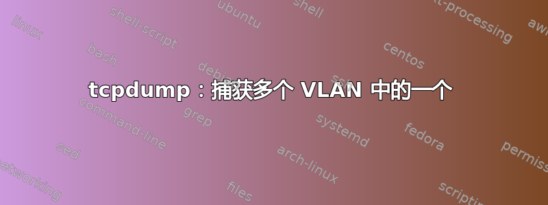 tcpdump：捕获多个 VLAN 中的一个