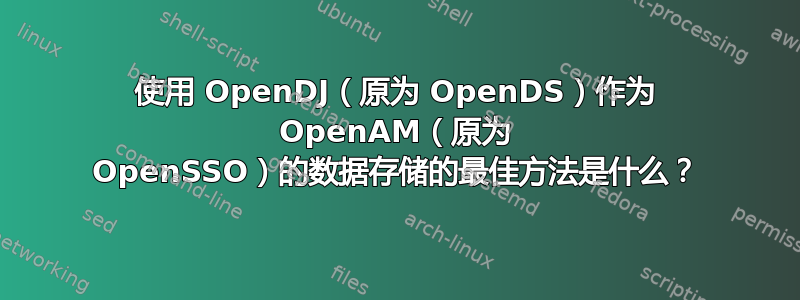 使用 OpenDJ（原为 OpenDS）作为 OpenAM（原为 OpenSSO）的数据存储的最佳方法是什么？