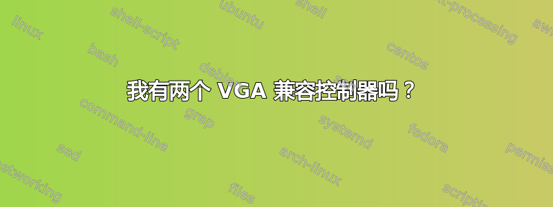 我有两个 VGA 兼容控制器吗？