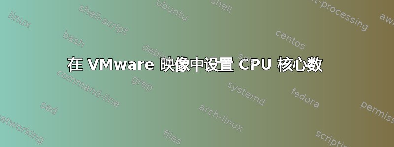 在 VMware 映像中设置 CPU 核心数