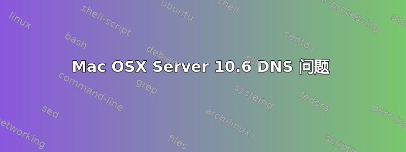 Mac OSX Server 10.6 DNS 问题