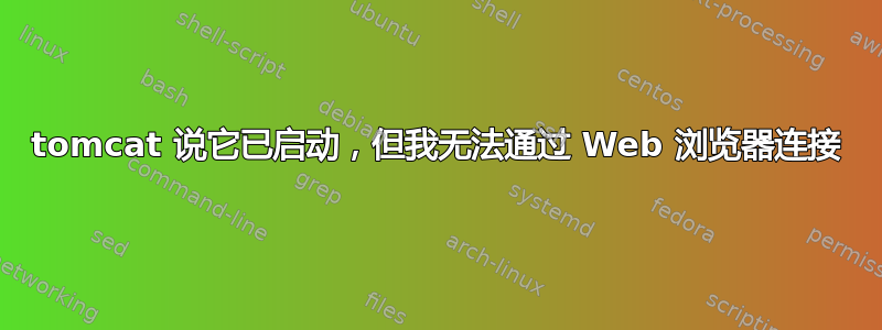 tomcat 说它已启动，但我无法通过 Web 浏览器连接