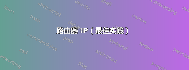 路由器 IP（最佳实践）