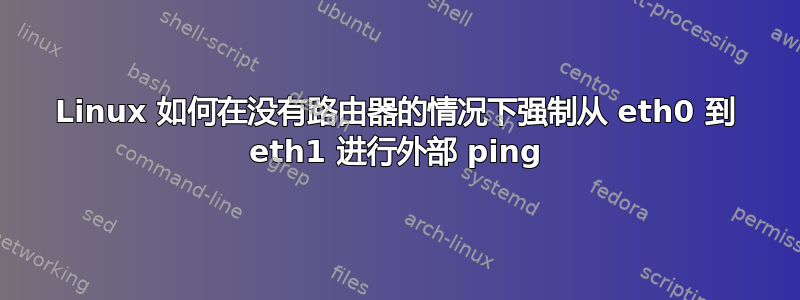 Linux 如何在没有路由器的情况下强制从 eth0 到 eth1 进行外部 ping