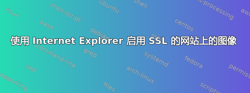 使用 Internet Explorer 启用 SSL 的网站上的图像