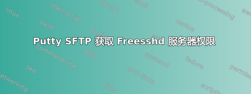 Putty SFTP 获取 Freesshd 服务器权限