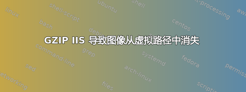 GZIP IIS 导致图像从虚拟路径中消失