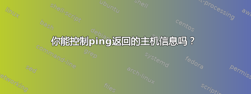 你能控制ping返回的主机信息吗？