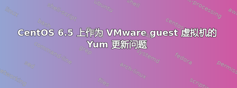 CentOS 6.5 上作为 VMware guest 虚拟机的 Yum 更新问题