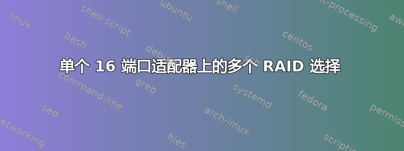 单个 16 端口适配器上的多个 RAID 选择