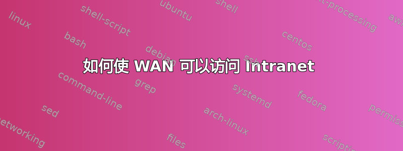 如何使 WAN 可以访问 Intranet