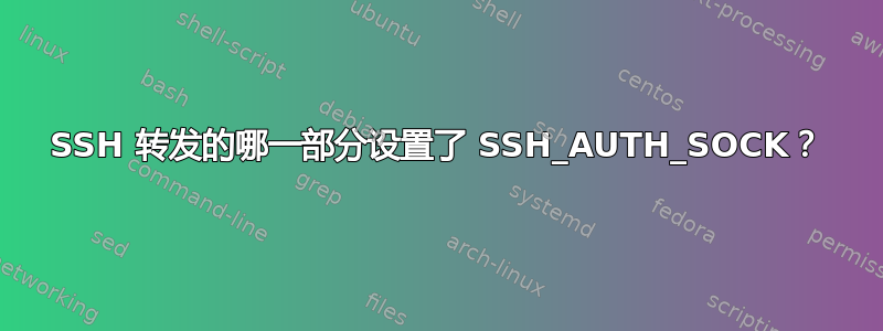 SSH 转发的哪一部分设置了 SSH_AUTH_SOCK？