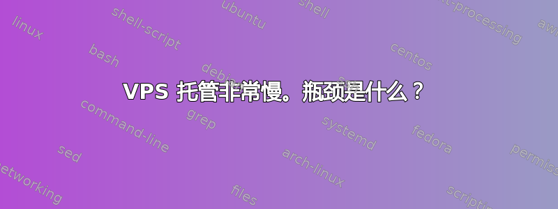 VPS 托管非常慢。瓶颈是什么？