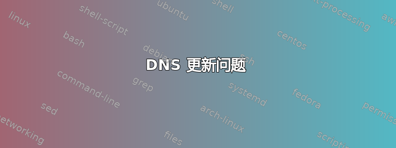 DNS 更新问题