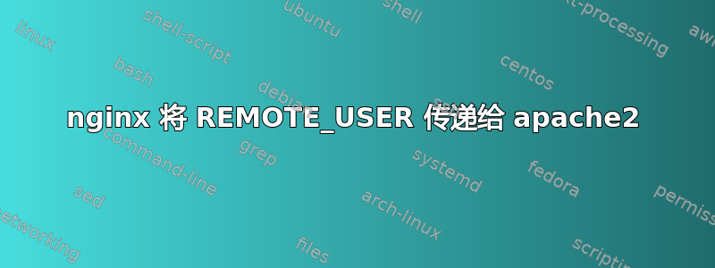 nginx 将 REMOTE_USER 传递给 apache2