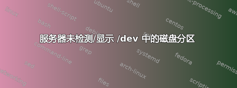 服务器未检测/显示 /dev 中的磁盘分区