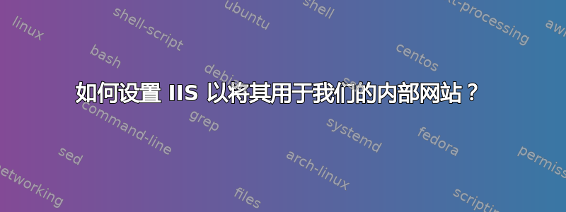 如何设置 IIS 以将其用于我们的内部网站？