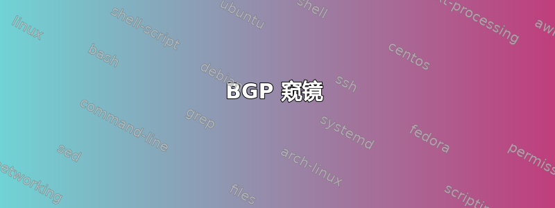 BGP 窥镜