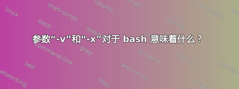 参数“-v”和“-x”对于 bash 意味着什么？