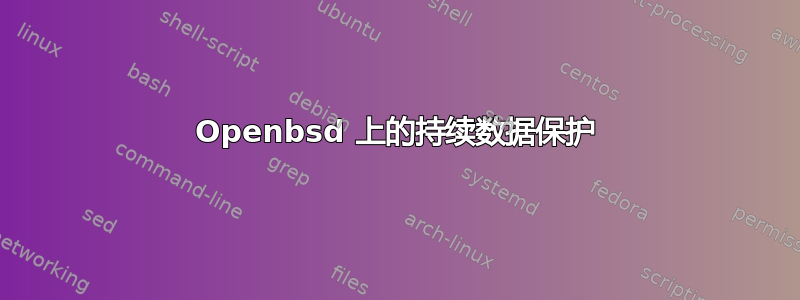 Openbsd 上的持续数据保护