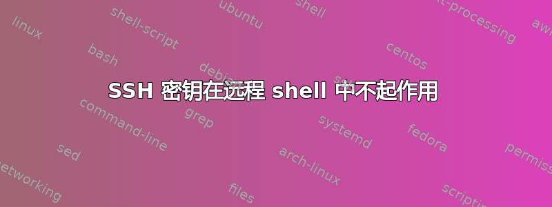 SSH 密钥在远程 shell 中不起作用