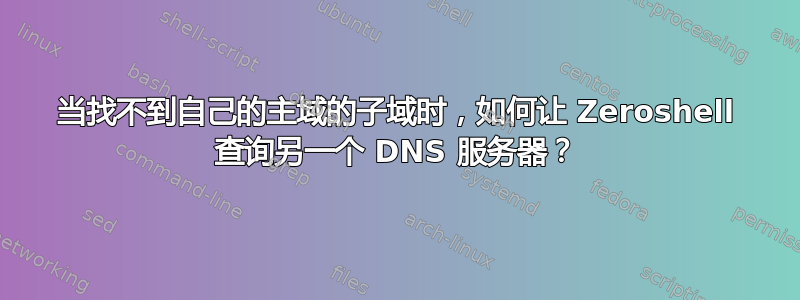 当找不到自己的主域的子域时，如何让 Zeroshell 查询另一个 DNS 服务器？